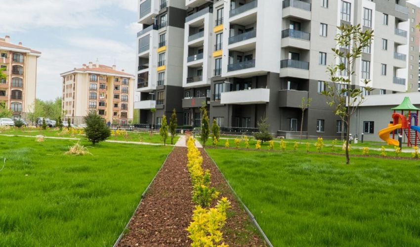 Ece Garden